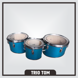 Jual Alat Marchingband Triotom SD 2