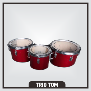 Jual Alat Marchingband Triotom SD