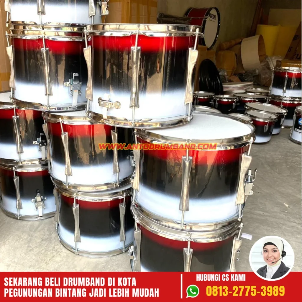 Jual Drum Band di Pegunungan Bintang (2)