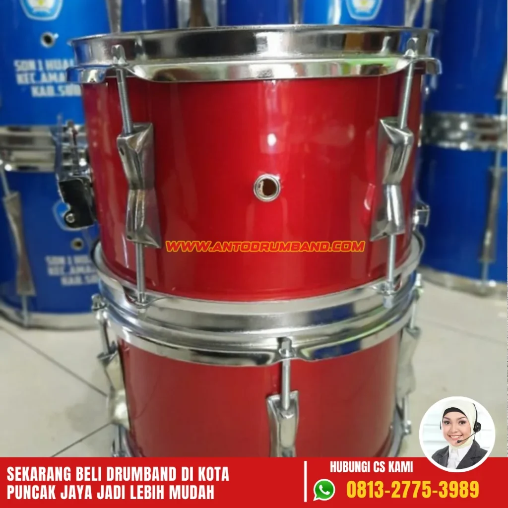 Jual Drum Band di Puncak Jaya (1)