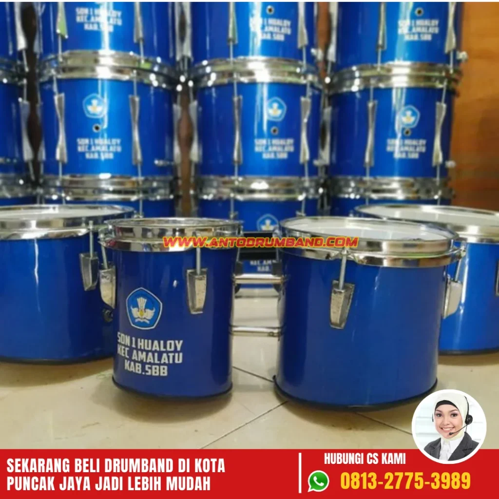 Jual Drum Band di Puncak Jaya (2)